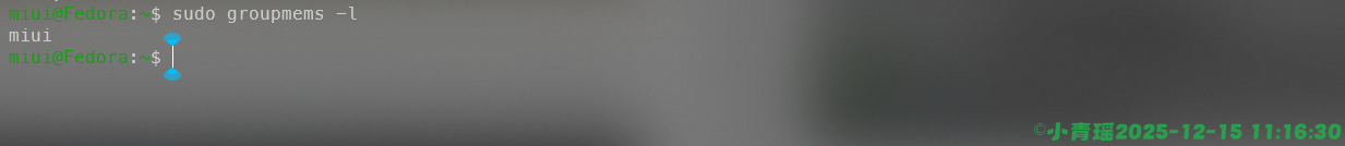 image-20251215111632903