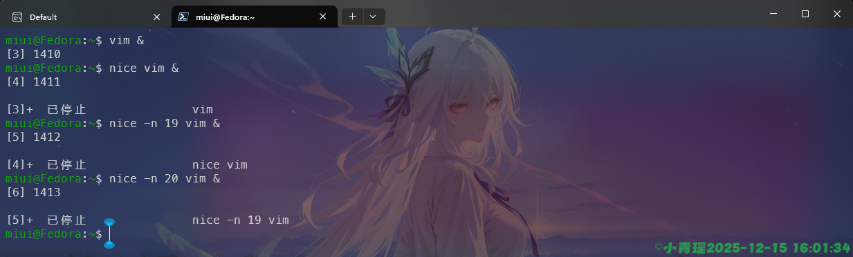 image-20251215160139681