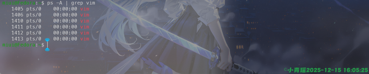 image-20251215160529977