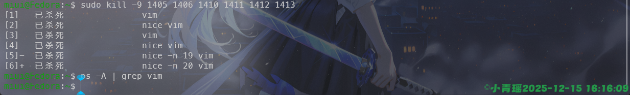 image-20251215161611078