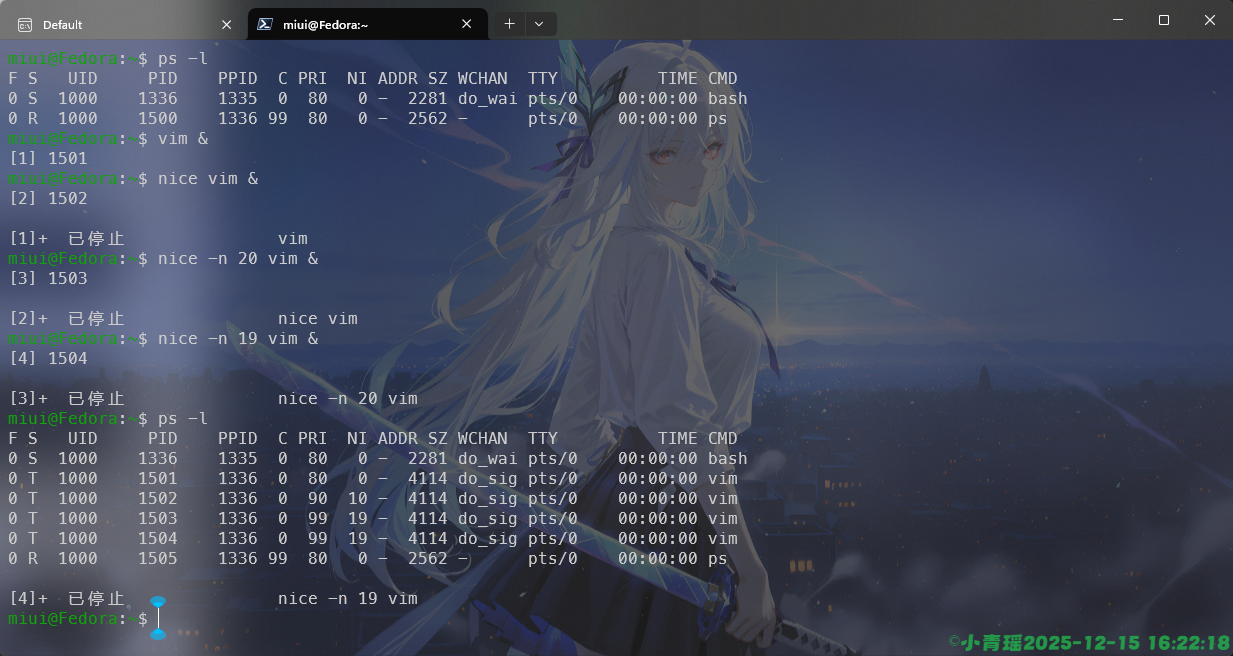 image-20251215162221121