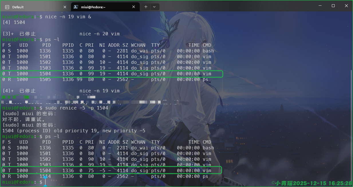 image-20251215162531260