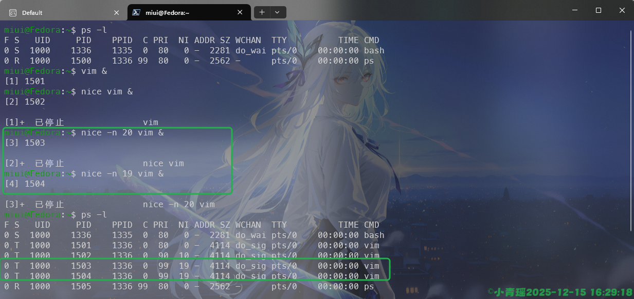 image-20251215162920185