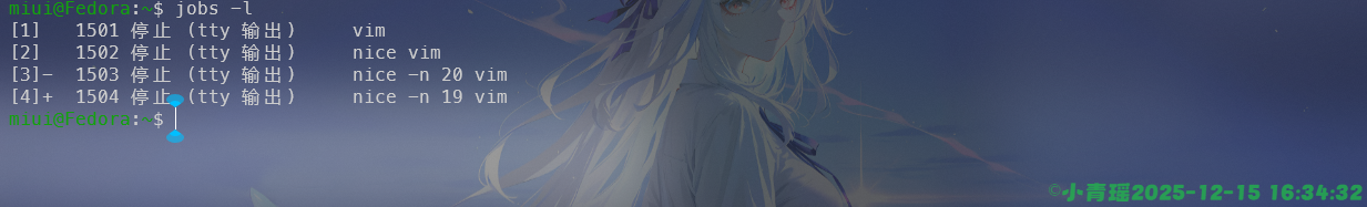 image-20251215163434538