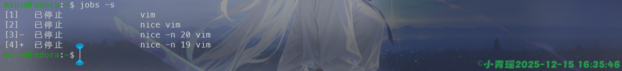 image-20251215163604669