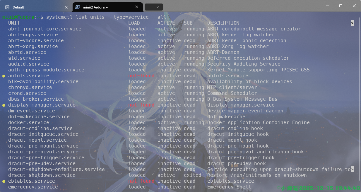 image-20251215194458250