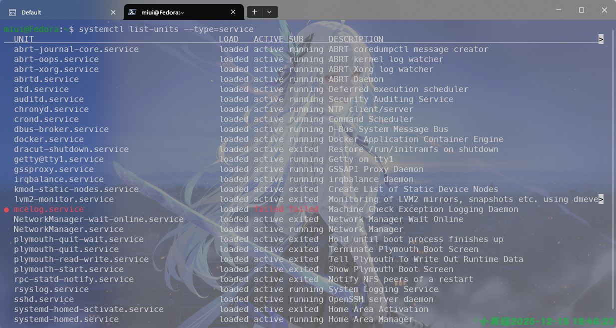 image-20251215194625998