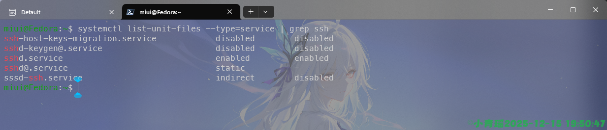 image-20251215195049158