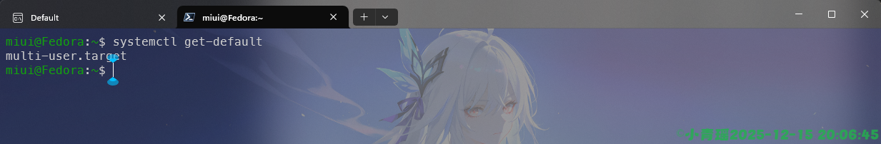 image-20251215200647818