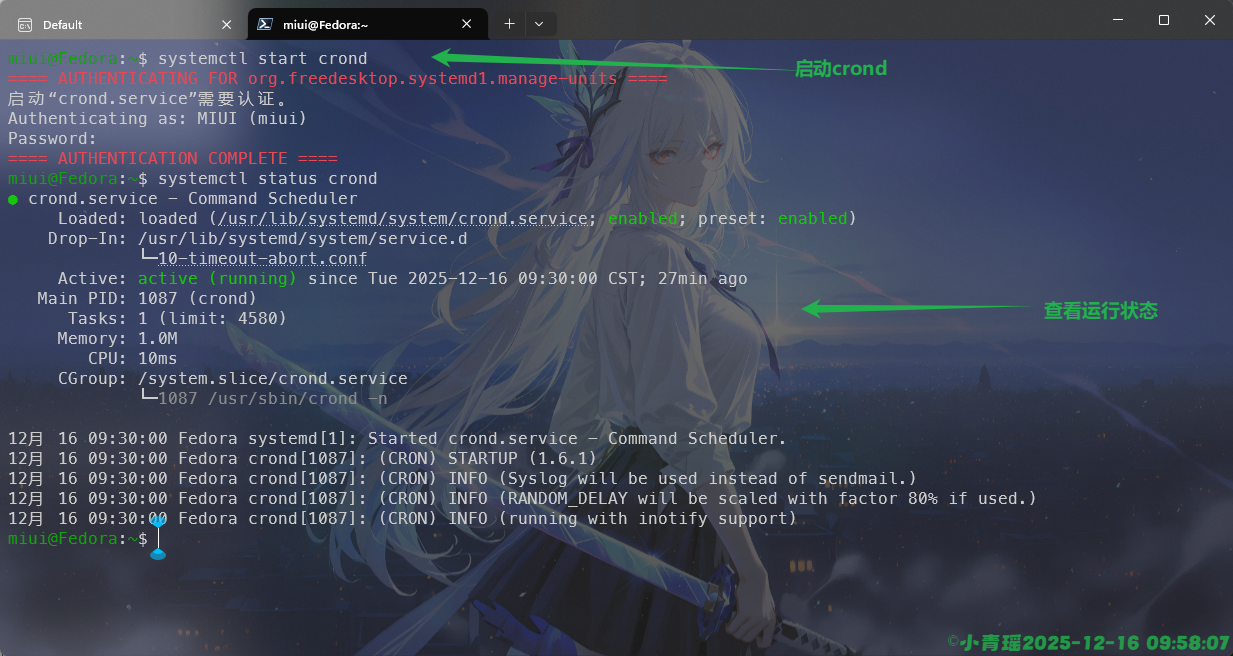 image-20251216095809945