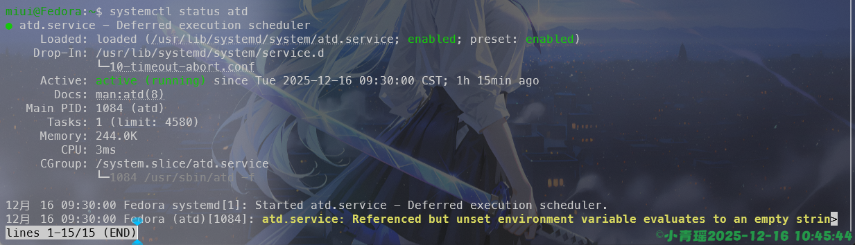 image-20251216104547427