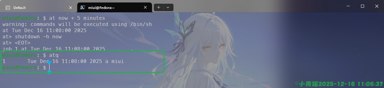 image-20251216110639526