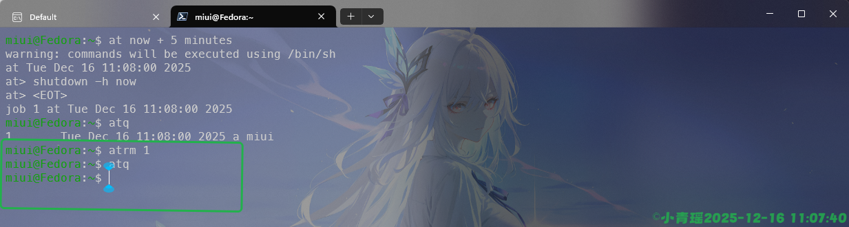 image-20251216110742712