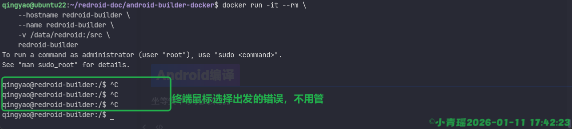 image-20260111174234393
